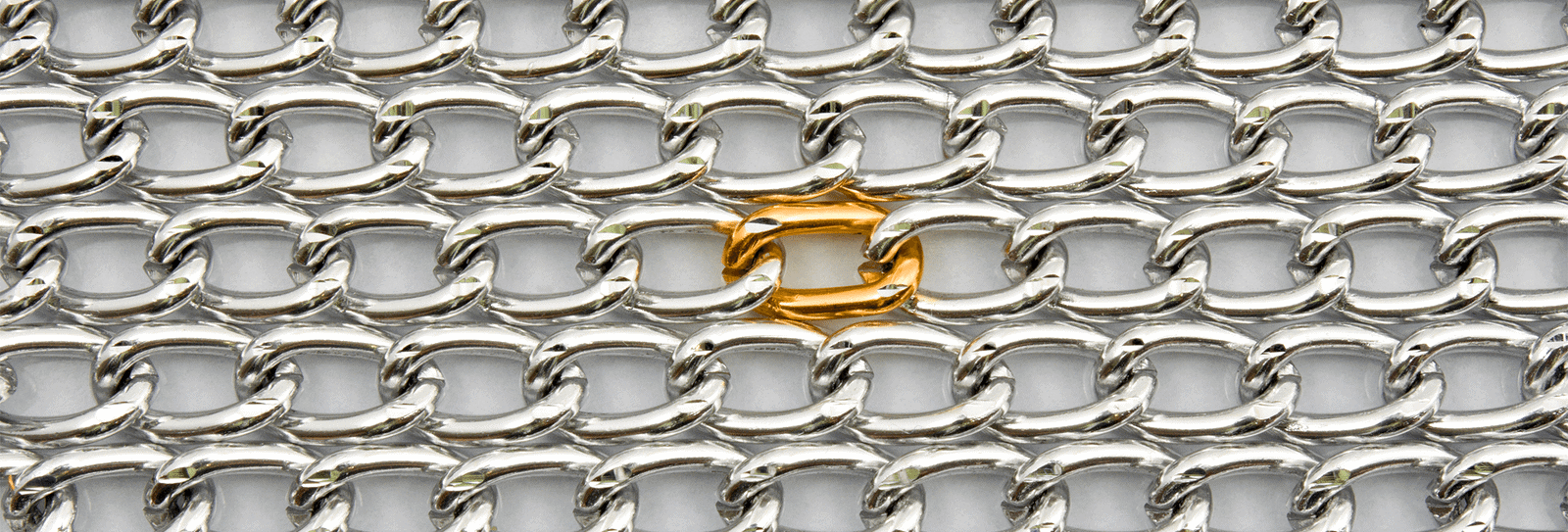 Backlink authority secrets